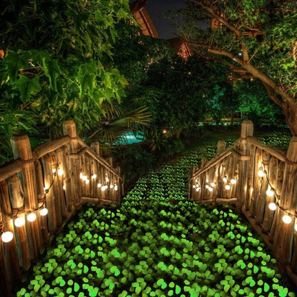 Glow-in-the-Dark Garden Rocks